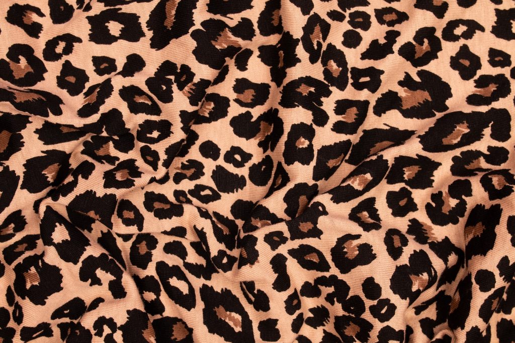 Niezwykłe spojrzenie na panterkę: TOP trendy 2024